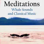 Meditations - Whales and Music App Contact