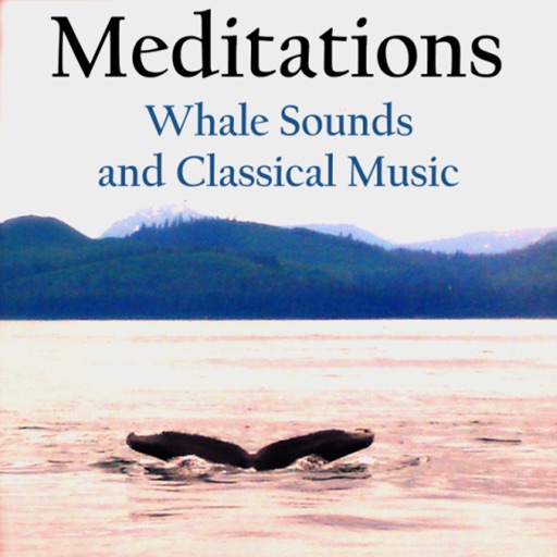 Meditations - Whales and Music icon