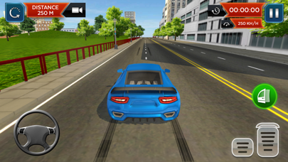 Real Car Driving School Sim 3D Screenshot