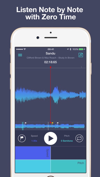 Transcribe+ screenshot-3
