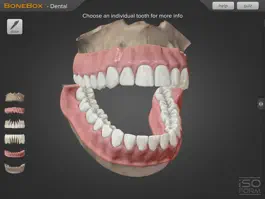 Game screenshot BoneBox™ - Dental Pro mod apk