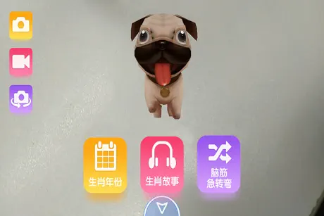 12生肖系列