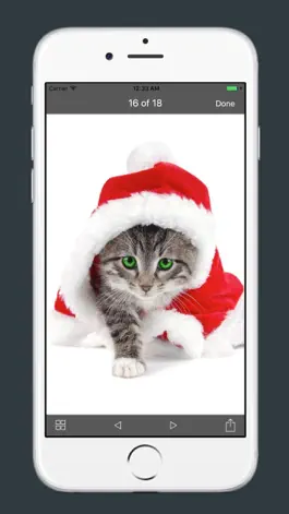 Game screenshot Wallpaper HD 2017, Happy New Year apk