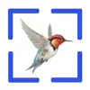 Bird Call Identification App Delete