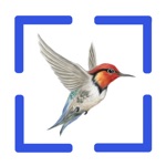 Download Bird Call Identification app