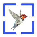 Bird Call Identification App Negative Reviews