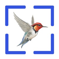 Bird Call Identification logo