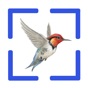 Bird Call Identification app download