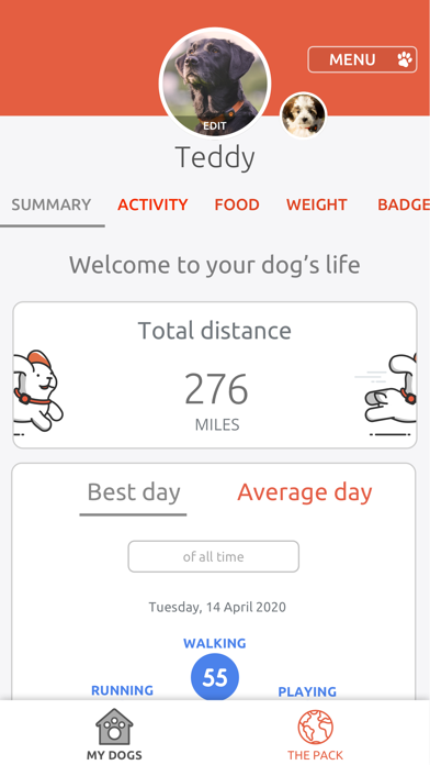 PitPat Screenshot