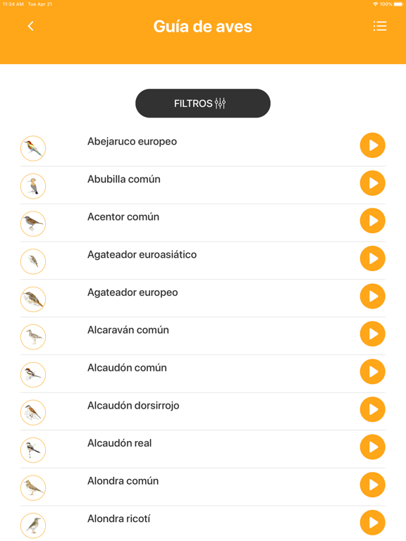 Screenshot #5 pour Avefy - SEOBirdlife