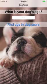 Dog Years - Fun And Simple Converter For Dog Years screenshot