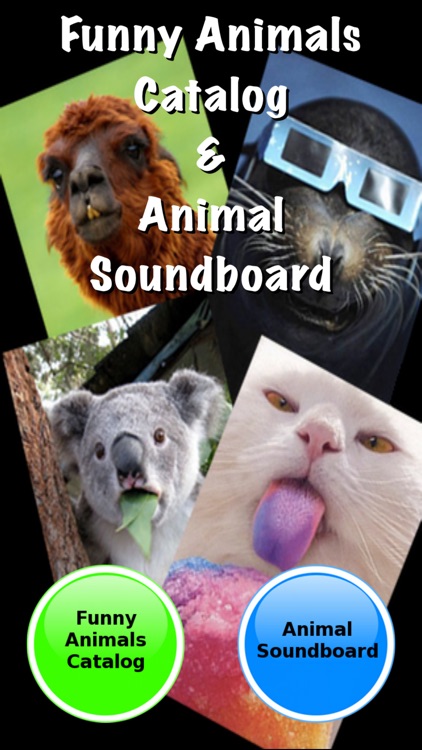Funny Animals Catalog and Animal Soundboard