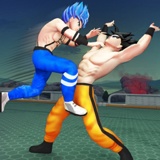 Karate Kings : Anime Fighting iOS App