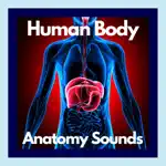 Human Body Anatomy Sounds App Contact