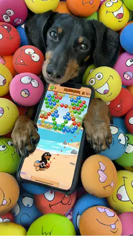 Game screenshot Crusoe Squeaky Ball Bubble POP mod apk