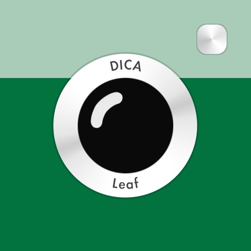 DICA - Leaf icon