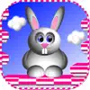 Bunny Hopper! App Delete