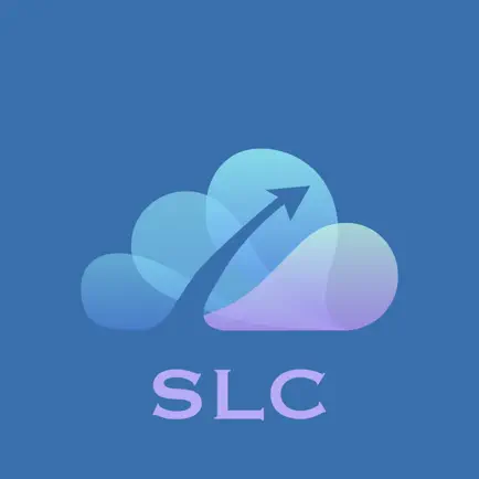 Exam Quiz for Salesforce SACL Cheats