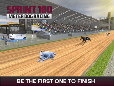 100 メートルの犬のレースのスプリント: 犬のレース トラックでのおすすめ画像5