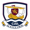 Galway GAA icon