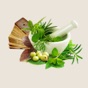 Ayurvedic Remedies - Treatment - Herbs app download