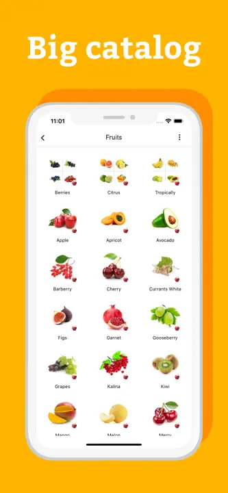 Grocery & Shopping List Pro: Screenshot 3 von 4