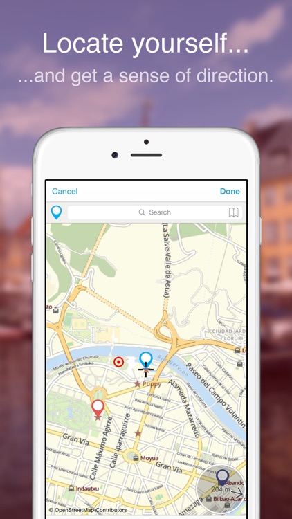 Bilbao on Foot : Offline Map