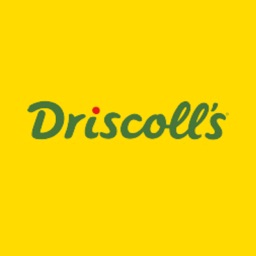 One Driscoll's
