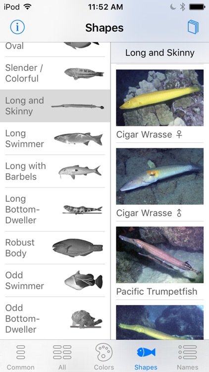 Snorkel Fish Hawaii for iPhone