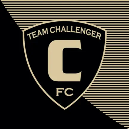 Team Challenger FC Cheats