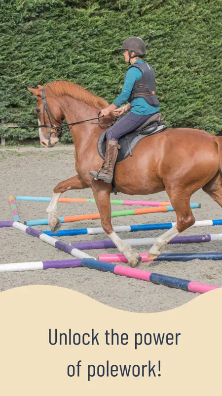 Polework Patterns screenshot 6 of 9