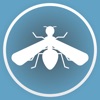 Drosophila Assay Assistant icon