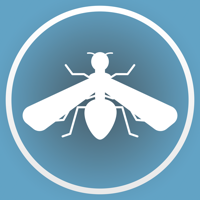 Drosophila Assay Assistant