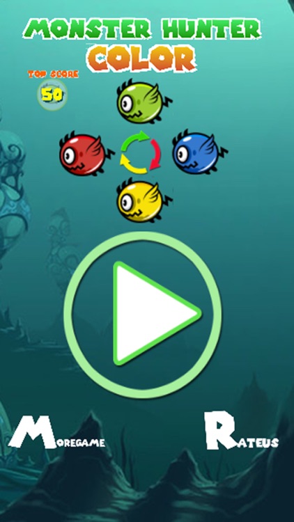 MONSTER HUNTER COLOUR screenshot-4