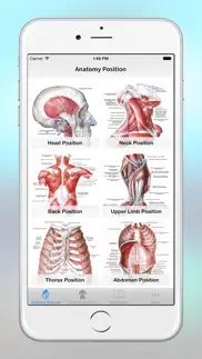 anatomy - 1k+ illustrations iphone screenshot 3