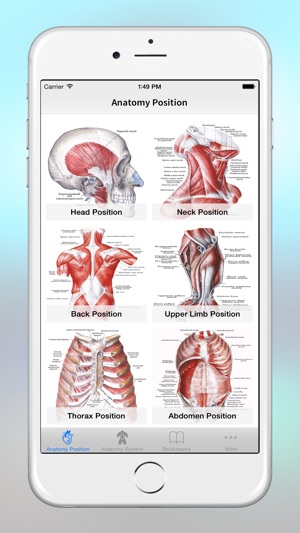 Anatomy - 1K+ Illustrations(圖3)-速報App