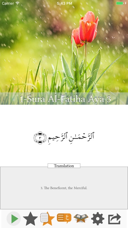 Visual Quran screenshot-4