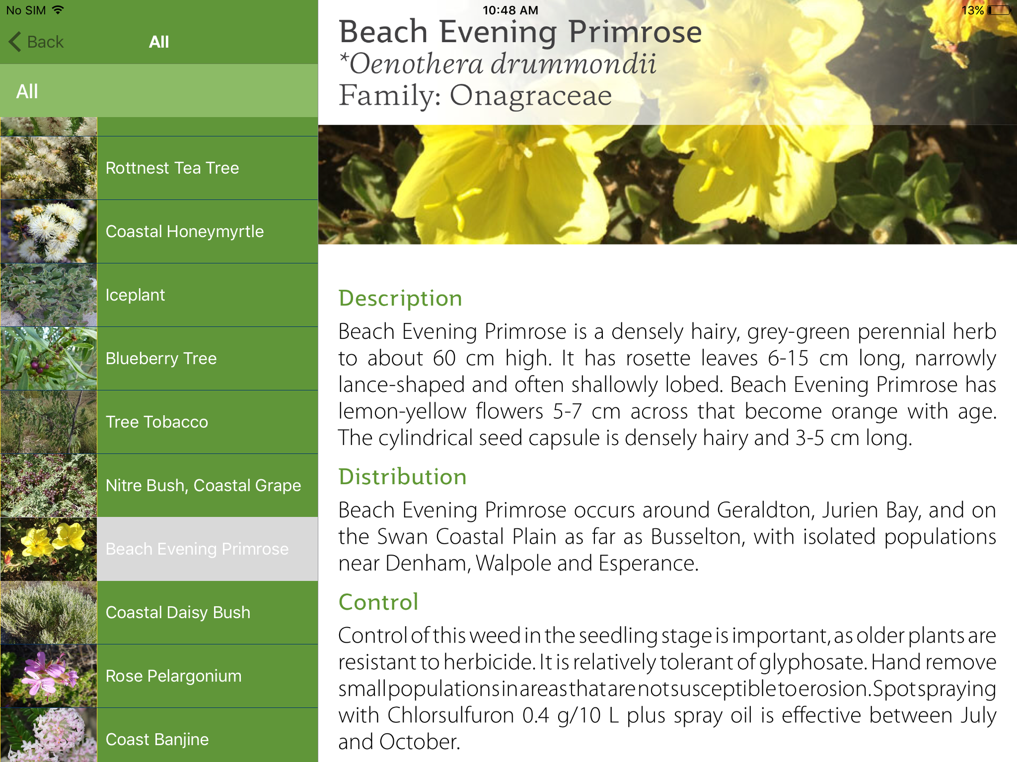 Coastal Plants