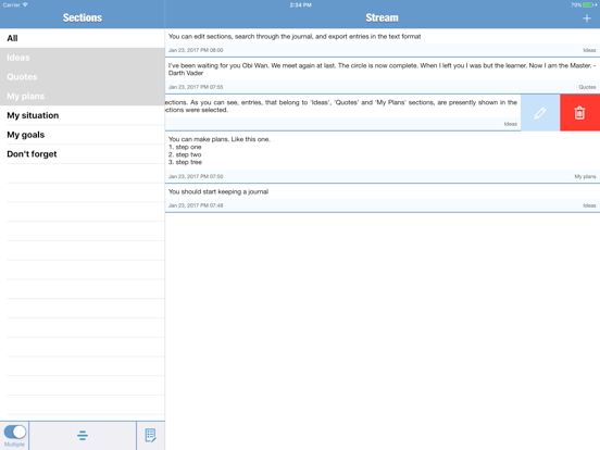 Stream Journal iPad screenshot 2 - Productivity app