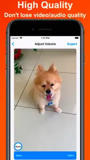 mute video - edit clip sound iphone screenshot 3