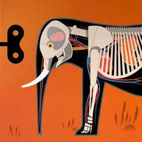 螢幕擷取畫面 (10) Mammals by Tinybop