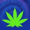Cannabis News (FREE EDITION) - iPadアプリ