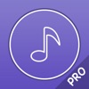 Music Player Pro - Player for lossless music icon