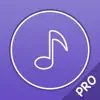 Music Player Pro - Player for lossless music Positive Reviews, comments