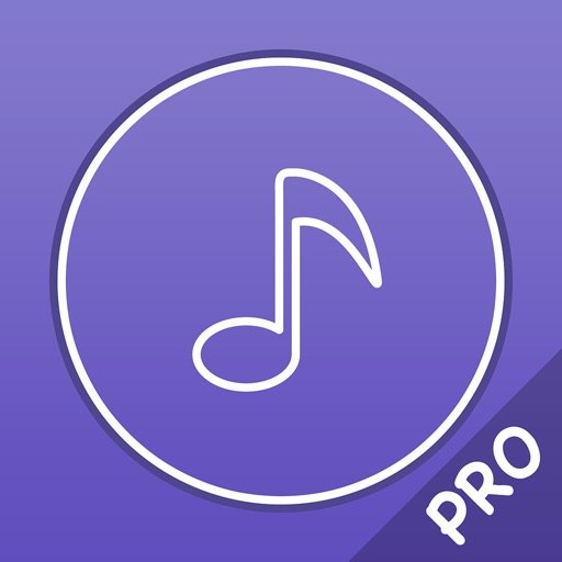 Music Player Pro - аудио плеер lossless музыки