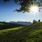 Stay up to date with the current weather conditions in Germany