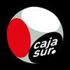 CajaSurPay icon