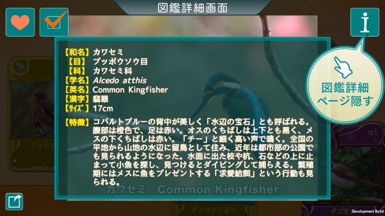 GPS動く野鳥図鑑400 screenshot-4