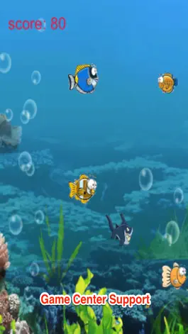 Game screenshot Big Shark Eat Little Fish apk