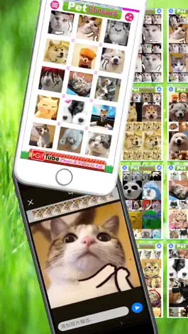 Game screenshot Pet Stickers - Cats & Dogs Animated Gif Stickers mod apk